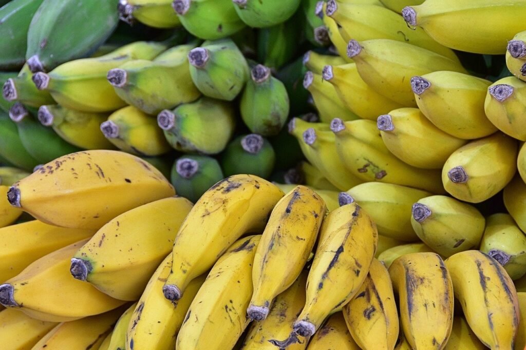 intolerancia a la fructosa