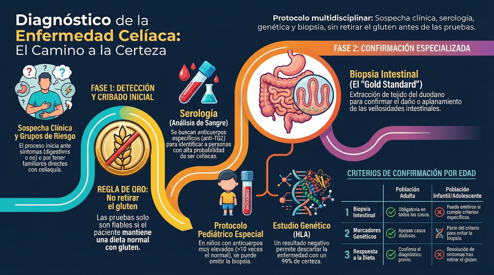 Guía visual de los síntomas de la enfermedad celíaca y sensibilidad al gluten en adultos, mujeres y bebés, incluyendo manifestaciones en la piel, fatiga crónica, anemia y problemas digestivos.