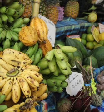 dieta-sin-fructosa