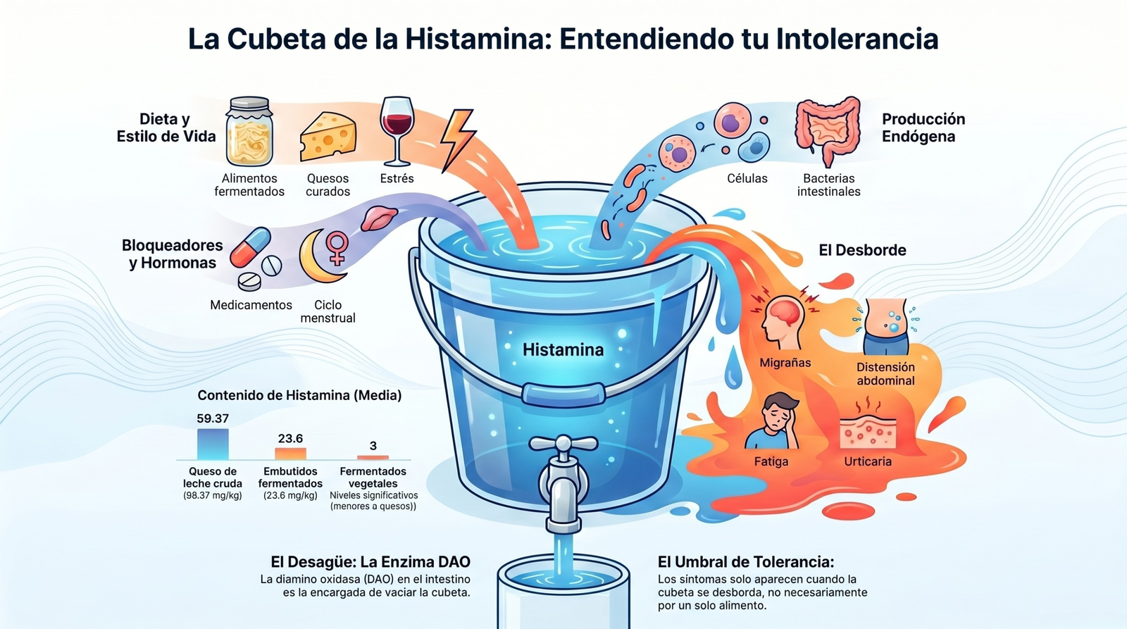 la cubeta de la histamina