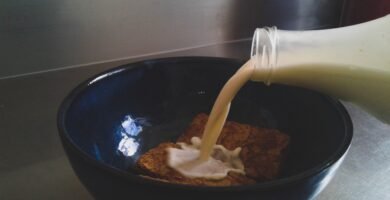 alergia a la lactosa